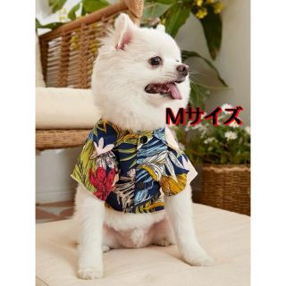 【新品未使用】ペット服　犬用 犬服 中型犬　Mサイズ　アクセサリー(犬)