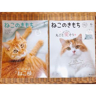 ベネッセ(Benesse)のねこのきもち　5月号　6月号　本　雑誌(猫)