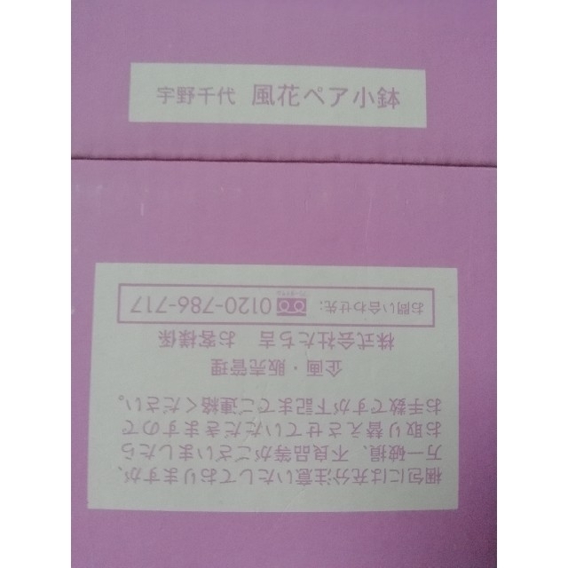 宇野千代(ウノチヨ)の新品 宇野千代 【風花】2枚 ペア小鉢 桜 サクラ インテリア/住まい/日用品のキッチン/食器(食器)の商品写真