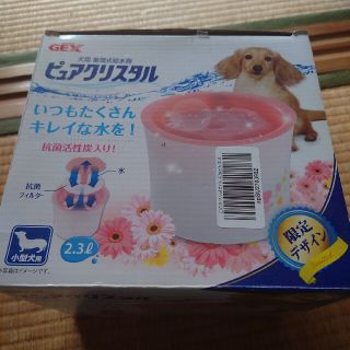 専用(犬)