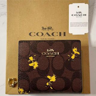 コーチ(COACH)の【新品-未使用】COACH X PEANUTS コラボ二つ折りミニ財布(財布)