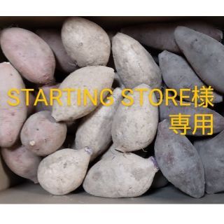 STARTING STORE様専用(野菜)