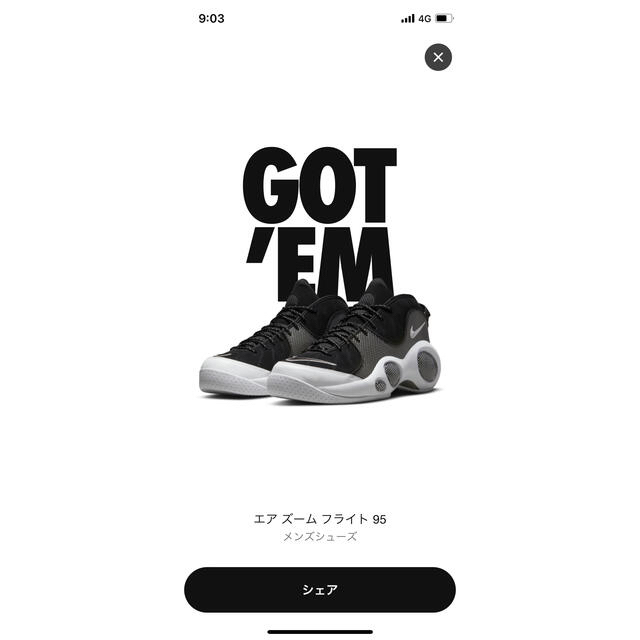 NIKE / ナイキ  エアズームフライト95   28cm