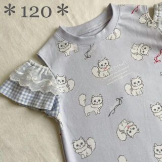 ✿size 120✿ Tシャツ オープンショルダー 半袖 ねこちゃん(Tシャツ/カットソー)