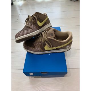 ナイキ(NIKE)のNIKE  DUNK LOW SP × UNDEFEATED 29.0(スニーカー)