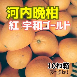 愛媛産【農家直送】☆河内晩柑(紅 宇和ゴールド)☆ 10ｷﾛ箱(フルーツ)