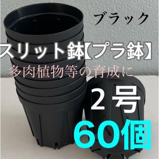 【スリット鉢】プラ鉢直径6cm 2号　60個セット【新品】ブラック(プランター)