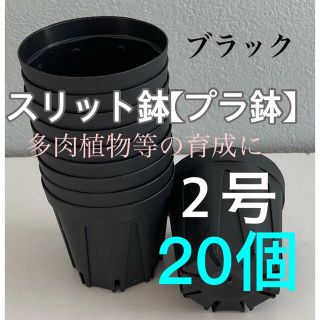 【スリット鉢】プラ鉢直径cm 2号　20個セット【新品】ブラック(プランター)