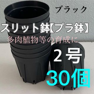 【スリット鉢】プラ鉢直径6cm 2号　30個(プランター)