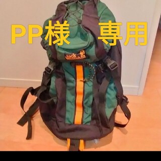 PP様専用　Jack Wolfskin 35L バックパック(登山用品)