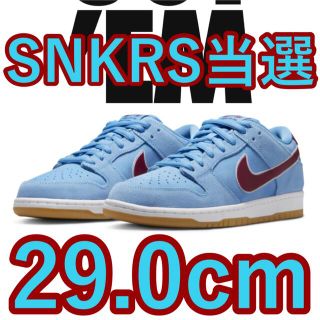 ナイキ(NIKE)のgenieさん専用　Nike SB Dunk Low Pro Phillies(スニーカー)