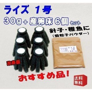 ライズ １号 ３０g+産卵床６個セット◇めだか の 餌 エサ／メダカ の えさ④(アクアリウム)