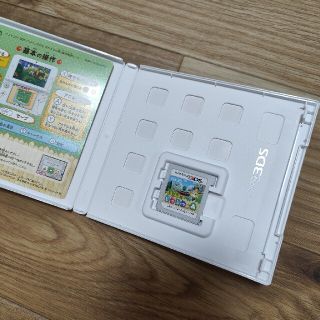 とびだせ どうぶつの森 3DS　動作OK　箱付き(その他)