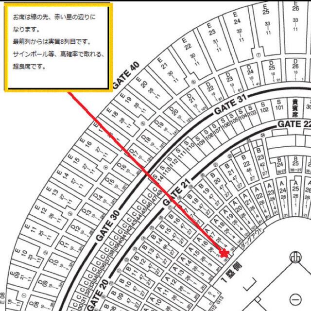 5月15日(日) 巨人vs中日 東京ドーム オーロラシートペア 角席超良席！