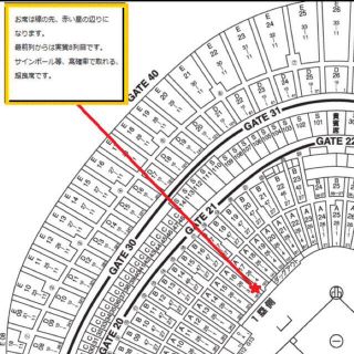 ヨミウリジャイアンツ(読売ジャイアンツ)の5月15日(日) 巨人vs中日 東京ドーム オーロラシートペア 角席超良席！(野球)