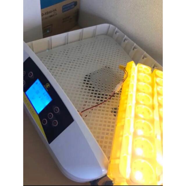 自動転卵 孵化器 インキュベーター LED 鳥類専用孵卵器　孵化器　ふ化器 その他のペット用品(鳥)の商品写真
