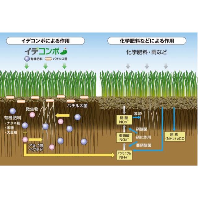 20kg イデコンポガーデンEV お買い得　安い その他のその他(その他)の商品写真
