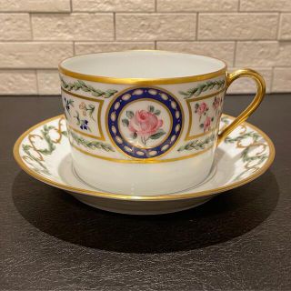 アビランド(Haviland)の【美品】アビランド　ルーブシエンヌ　カップ＆ソーサー(食器)