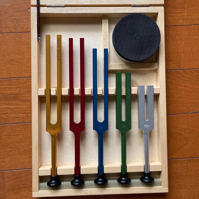 返品?交換対象商品】 今日は一粒万倍日 お値引きします!ブレイン