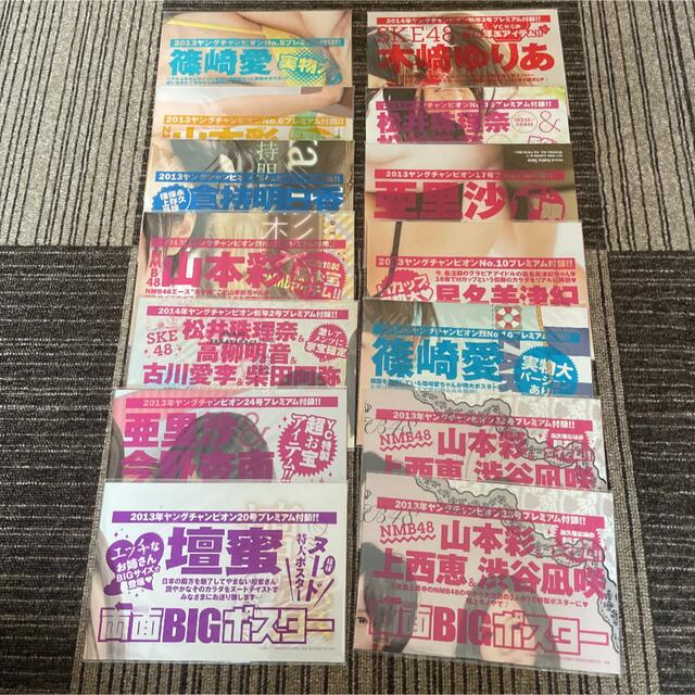 壇蜜 2013年 ヤングチャンピオン 付録 ポスター クリアファイル