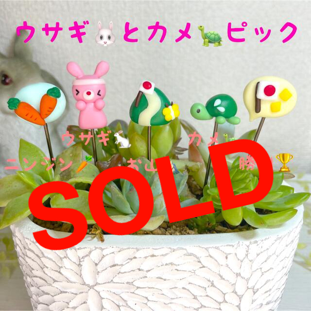 ハンドメイド　ガーデンピック　ウサギとカメピック　多肉植物