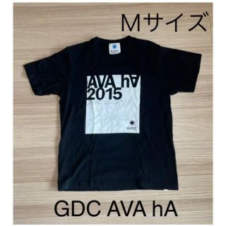 ジーディーシー(GDC)のGDC AVA hA 2015 Tシャツ Mサイズ グランドキャニオン(Tシャツ/カットソー(半袖/袖なし))
