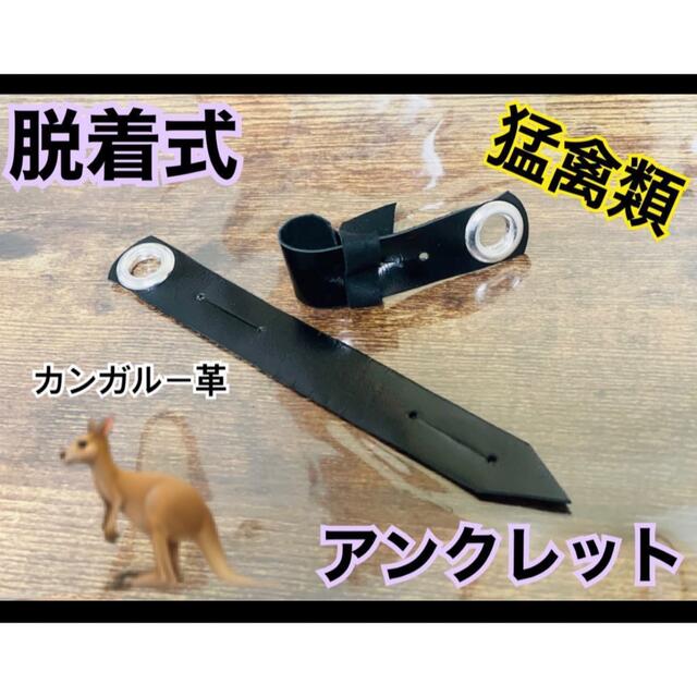 猛禽類　オーダーメイドアンクレット