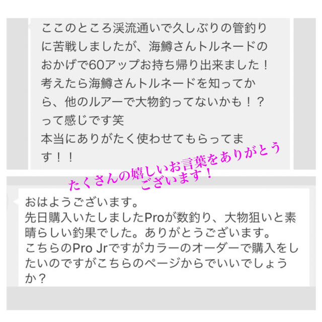 【1番人気！】管釣り エリアトラウト 海鱒セニョールトルネードルアー Pro スポーツ/アウトドアのフィッシング(ルアー用品)の商品写真