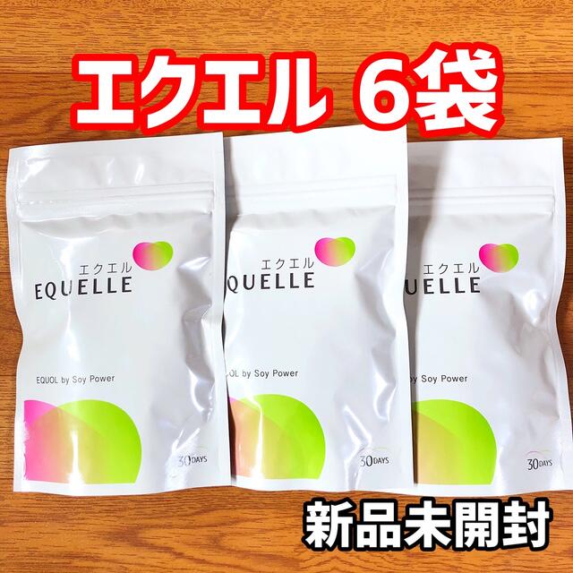 エクエル 大塚製薬 EQUELLE サプリメント 120粒 6袋 新品未開封