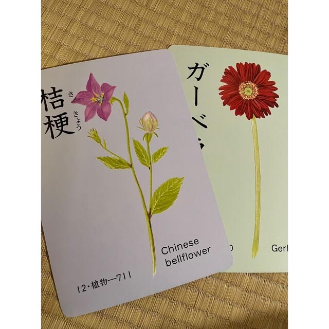 家庭保育園の絵カード、cdセット その他 家庭保育園の絵カード、cdセット その他