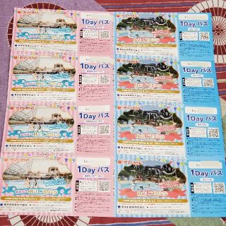 東京都競馬　株主優待券　東京サマーランド　8枚(遊園地/テーマパーク)
