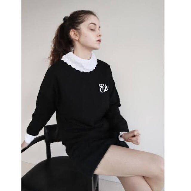 épine(エピヌ)のEé embroidery big long tee エピヌ　ロンT レディースのトップス(Tシャツ(長袖/七分))の商品写真