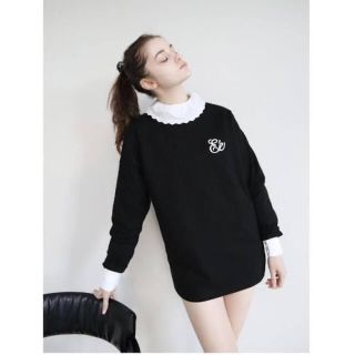 エピヌ(épine)のEé embroidery big long tee エピヌ　ロンT(Tシャツ(長袖/七分))