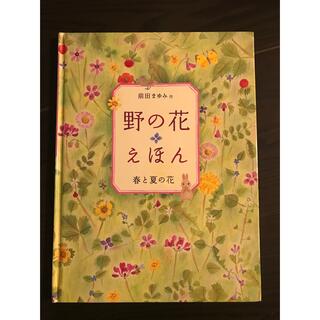 野の花えほん　春と夏の花　前田まゆみ　(絵本/児童書)