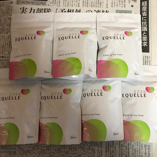 その他大塚製薬 エクエル EQUELLE 30日分(120粒) ×6袋 正規品