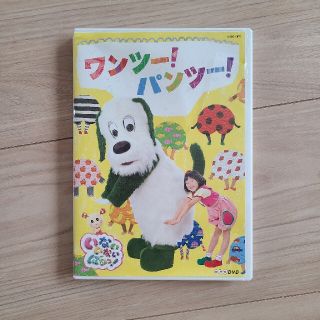 ワンツーパンツー　いないいないばあ　dvd(キッズ/ファミリー)