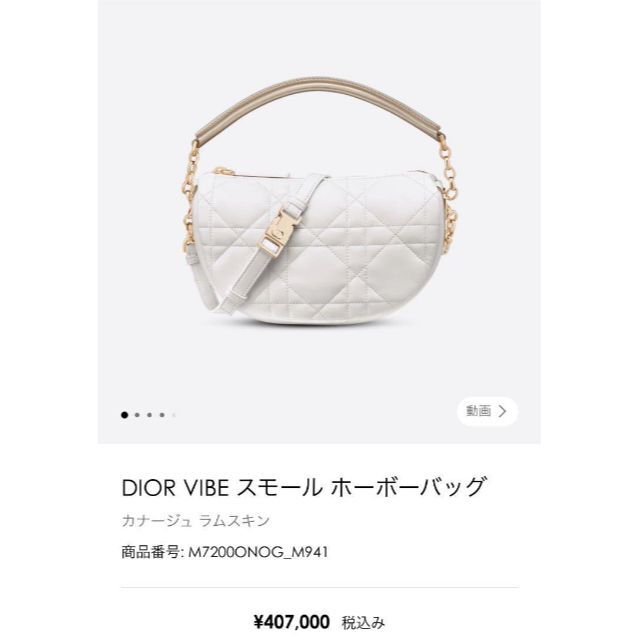 Christian Dior - 新木優子ちゃん着用モデルDIOR VIBE スモール ホーボーバッグ
