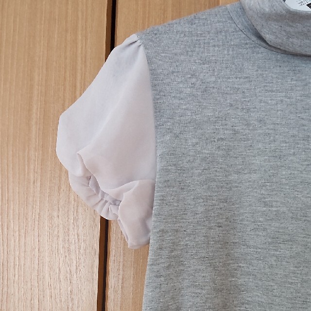 DHC(ディーエイチシー)の半袖　レディース　Ｌサイズ レディースのトップス(Tシャツ(半袖/袖なし))の商品写真