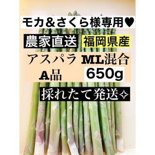 モカ＆さくら様専用♥アスパラガス MLサイズ混合(野菜)