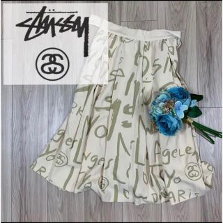 ステューシー(STUSSY)の【希少デザイン】STUSSY women スカート(ひざ丈スカート)