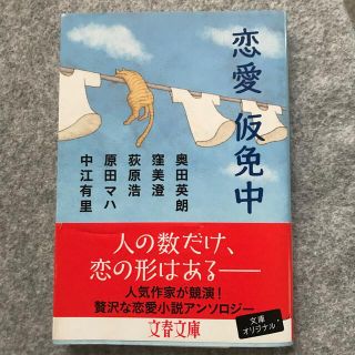 恋愛仮免中(文学/小説)