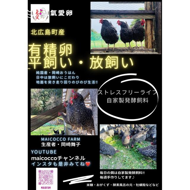 純国産おかざき黄斑　有精卵平飼い放飼い卵　20個 食品/飲料/酒の食品(その他)の商品写真