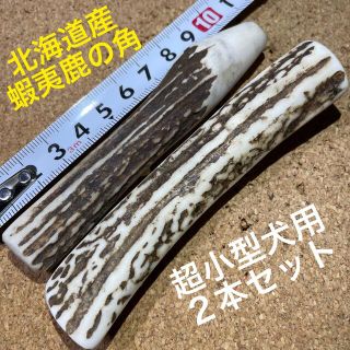 鹿の角　犬のおもちゃ現物発送　北海道産　　　超小型犬用　2本セット(犬)