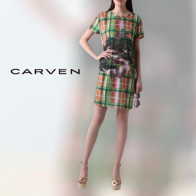 CARVEN(カルヴェン)のCARVEN【大きいサイズ】恐竜プリント ジャージードレス レディースのワンピース(ミニワンピース)の商品写真