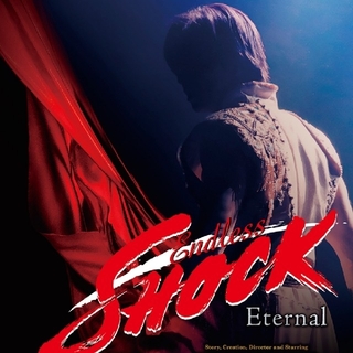 専用出品Endless SHOCK Eternal 5/16夜S席チケット1枚(ミュージカル)