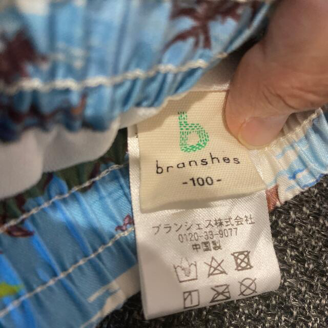 Branshes(ブランシェス)の水着　男の子　100センチ キッズ/ベビー/マタニティのキッズ服男の子用(90cm~)(水着)の商品写真