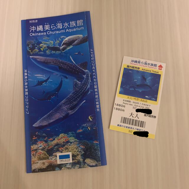 美ら海水族館チケット パンフレット付き | clinicaversalles.com.pe