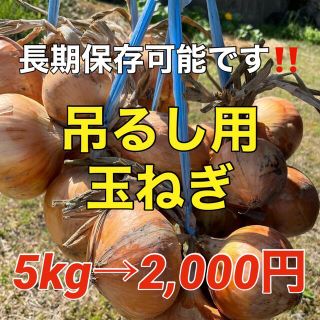 吊るして保存❣️新鮮玉葱5kg入❗️(野菜)