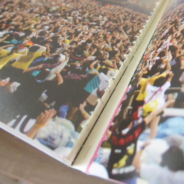 MONSTER baSH 2013/OFFICIAL BOOK エンタメ/ホビーの雑誌(音楽/芸能)の商品写真