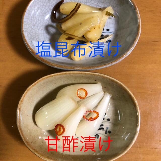 鹿児島県産砂丘らっきょう1キロ 食品/飲料/酒の食品(野菜)の商品写真